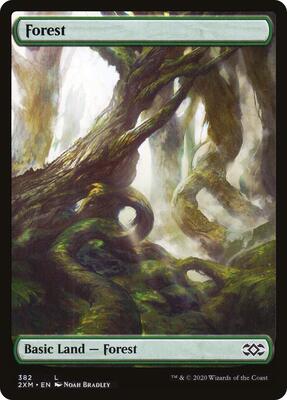 Forest (382) card from Double Masters