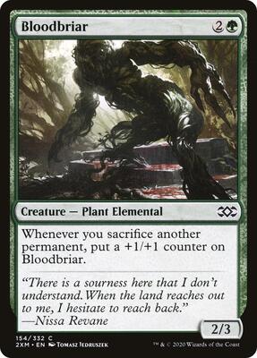 Bloodbriar card from Double Masters