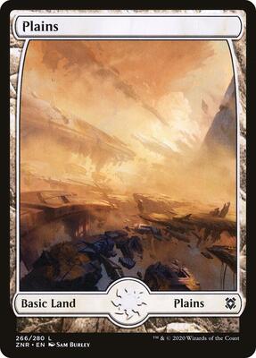 Plains (266) - Full Art card from Zendikar Rising