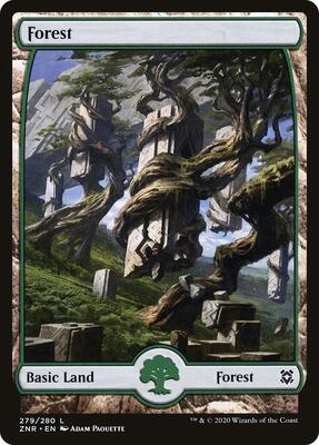 Forest (279) - Full Art card from Zendikar Rising
