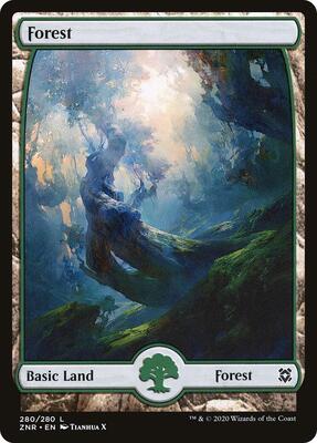 Forest (280) - Full Art card from Zendikar Rising
