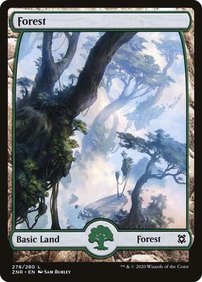 Forest (278) - Full Art card from Zendikar Rising