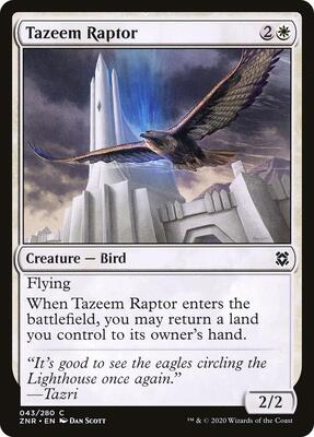 Tazeem Raptor card from Zendikar Rising