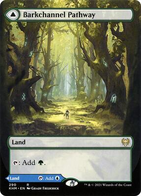 Barkchannel Pathway (Borderless) card from Kaldheim