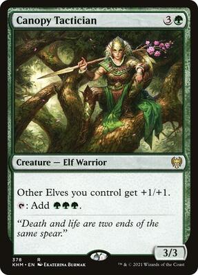 Canopy Tactician card from Kaldheim