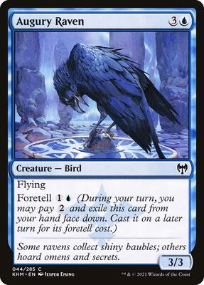 Augury Raven card from Kaldheim