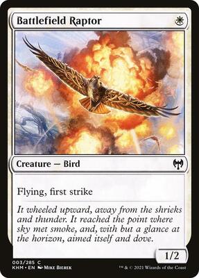 Battlefield Raptor card from Kaldheim