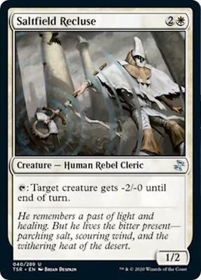 Saltfield Recluse card from Time Spiral: Remastered