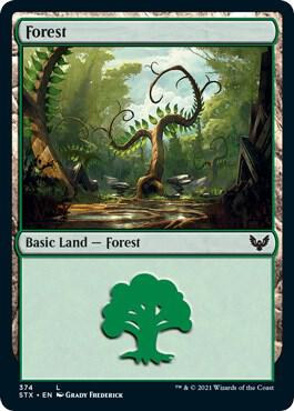 Forest (374) card from Strixhaven: School of Mages