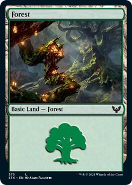 Forest (375) card from Strixhaven: School of Mages