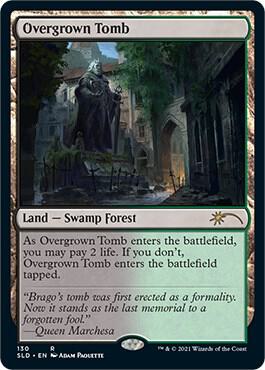 Overgrown Tomb card from Secret Lair Drop Series