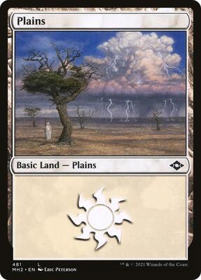 Plains (481) card from Modern Horizons 2