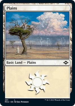 Plains (481) (Foil Etched) card from Modern Horizons 2