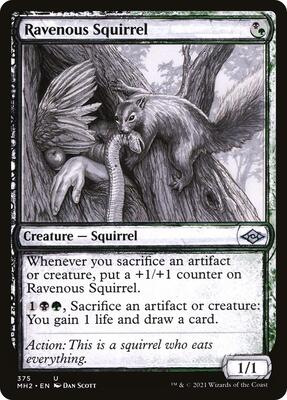 Ravenous Squirrel (Showcase) card from Modern Horizons 2
