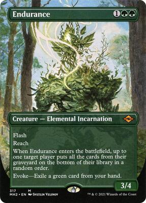 Endurance (Borderless) card from Modern Horizons 2