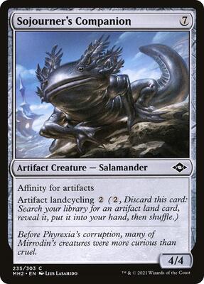 Sojourner's Companion card from Modern Horizons 2
