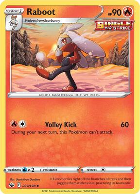 Raboot card from SWSH06: Chilling Reign