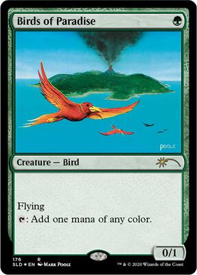 Birds of Paradise (176) card from Secret Lair Drop Series
