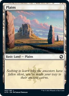 Plains (263) card from Adventures in the Forgotten Realms