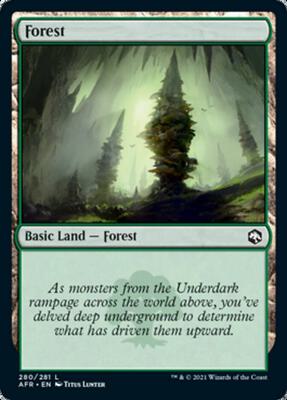 Forest (280) card from Adventures in the Forgotten Realms