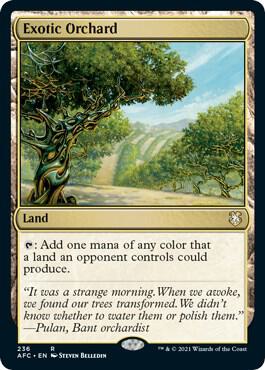 Exotic Orchard card from Commander: Adventures in the Forgotten Realms