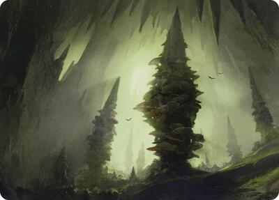 Forest (55/81) Art Card card from Art Series: Adventures in the Forgotten Realms