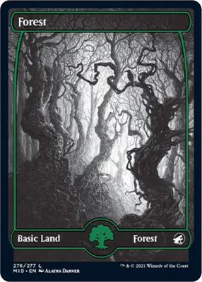 Forest (276) card from Innistrad: Midnight Hunt