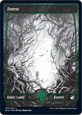Forest (277) card from Innistrad: Midnight Hunt
