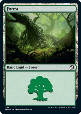 Forest (384) card from Innistrad: Midnight Hunt