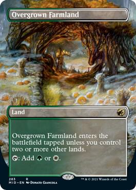 Overgrown Farmland (Borderless) card from Innistrad: Midnight Hunt
