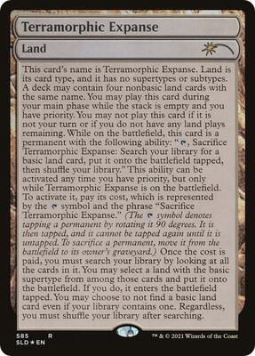 Terramorphic Expanse (Full-Text Lands) card from Secret Lair Drop Series