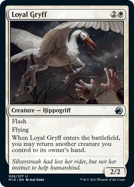 Loyal Gryff card from Innistrad: Midnight Hunt