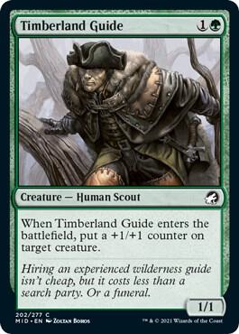 Timberland Guide card from Innistrad: Midnight Hunt