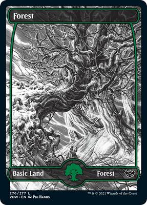 Forest (276) card from Innistrad: Crimson Vow