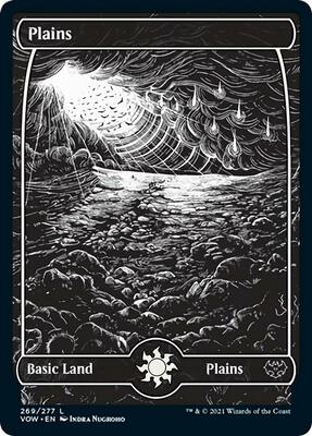 Plains (269) card from Innistrad: Crimson Vow