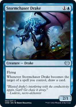 Stormchaser Drake card from Innistrad: Crimson Vow