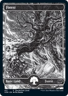 Forest (Moonlit Land) (Foil Etched) card from WPN & Gateway Promos