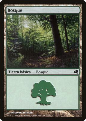 Forest (Spanish) - "Bosque" (223) card from Magic Encyclopedia 2011 (Salvat)