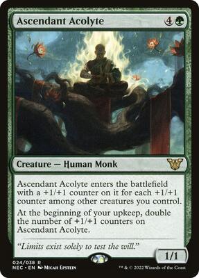 Ascendant Acolyte card from Commander: Kamigawa: Neon Dynasty