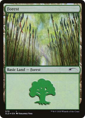 Forest (579) card from Secret Lair Drop Series