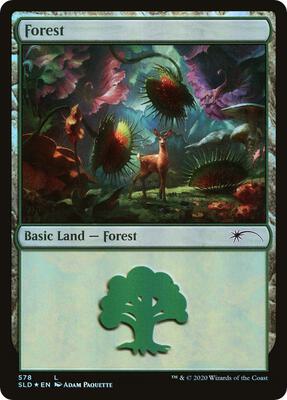 Forest (578) card from Secret Lair Drop Series