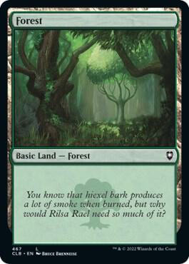 Forest (467) card from Commander Legends: Battle for Baldur's Gate