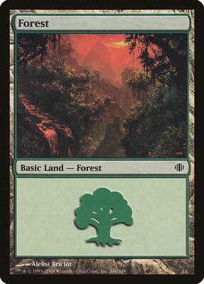 Forest (246) card from Shards of Alara