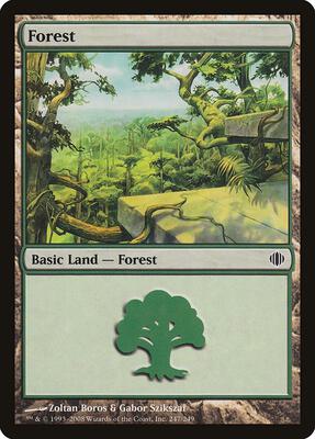 Forest (247) card from Shards of Alara