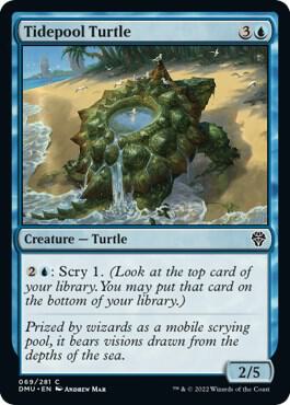 Tidepool Turtle card from Dominaria United