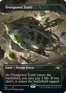 Overgrown Tomb (Borderless) (Galaxy Foil) card from Unfinity