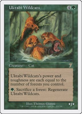 Uktabi Wildcats card from 7th Edition