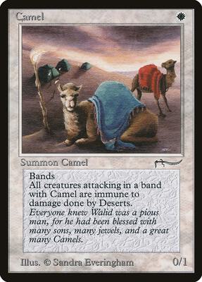 Camel card from Arabian Nights