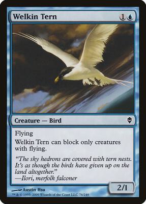 Welkin Tern card from Zendikar