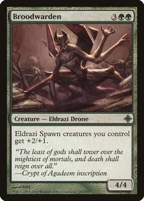 Broodwarden card from Rise of the Eldrazi